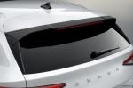 Skoda Enyaq iV 80 2020 года (WW)